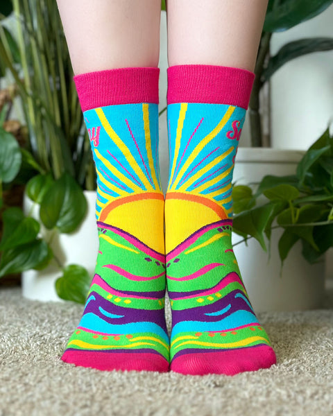 side by side socks makes a perfect sun ladies novelty socks